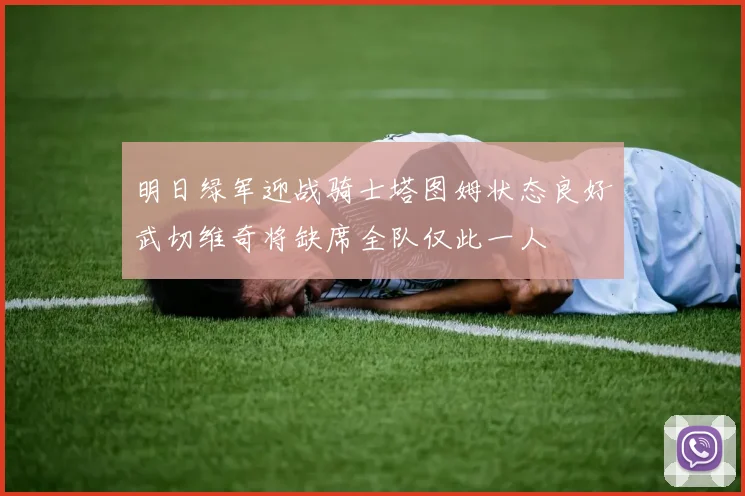 明日绿军迎战骑士塔图姆状态良好武切维奇将缺席全队仅此一人
