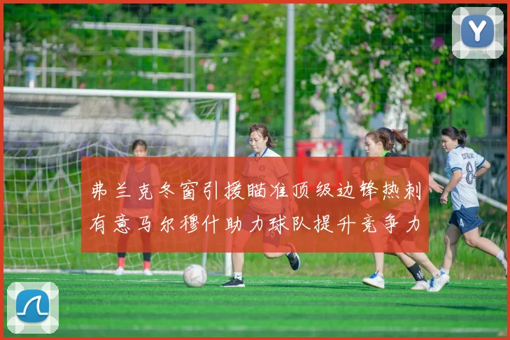 弗兰克冬窗引援瞄准顶级边锋热刺有意马尔穆什助力球队提升竞争力