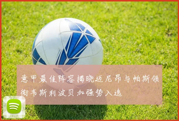 意甲最佳阵容揭晓迈尼昂与帕斯领衔韦斯利波贝加强势入选